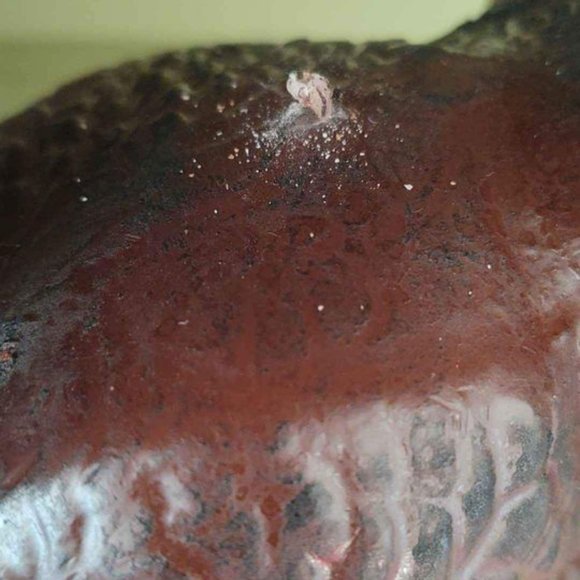 Vintage 7" Tall Turkey Candle - Picture 7 of 8